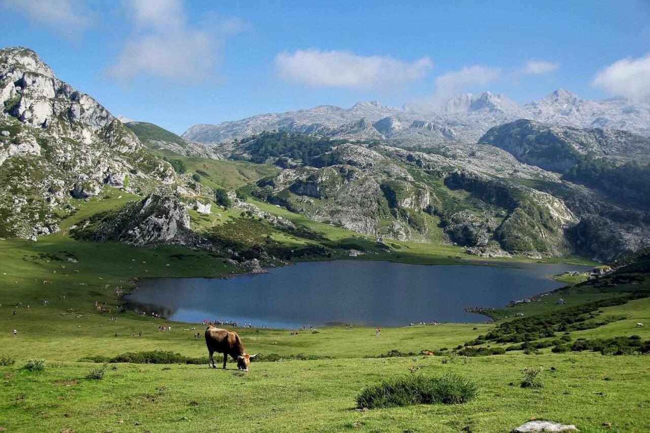 Casa Rural La Carrozal Senda Del Oso Orelleiru ภายนอก รูปภาพ